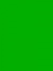 Create meme: chromakey green background, green background