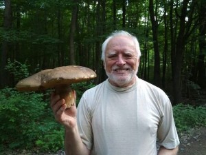 Создать мем: гигантские грибы, грибы в лесу, грибы