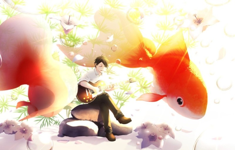 Create meme: fish anime, goldfish art, fish art
