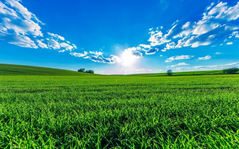 Create meme: green field, green field and sky, green field background