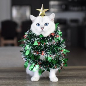 Создать мем: кот новый год, кот с новогодним шариком, кот и елка