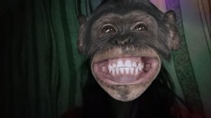 Create meme: chimpanzees, the monkey laughs, smile chimpanzees