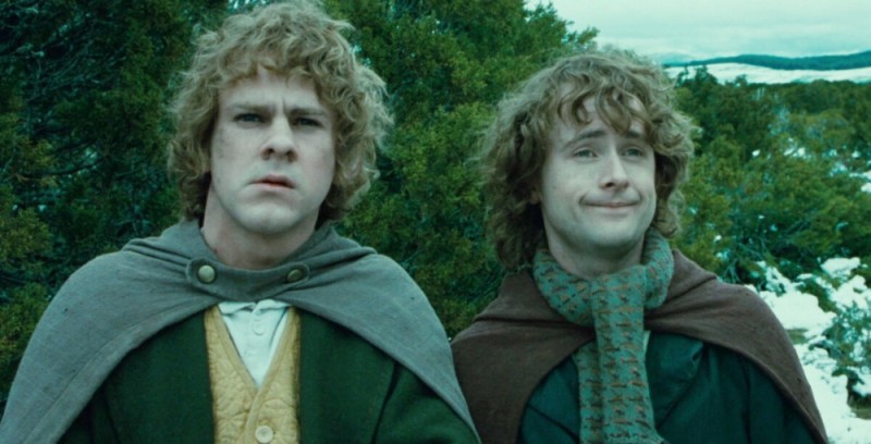 Create meme: the hobbit Frodo, the Lord of the rings the hobbit, Pippin Lord of the rings