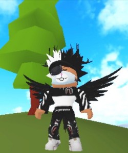 Create meme: play roblox team flags, Screenshot, roblox