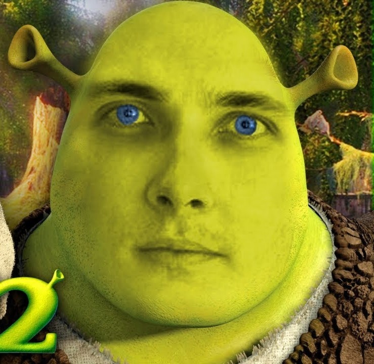 Create meme: Shrek , Shrek Shrek, Shrek the first part