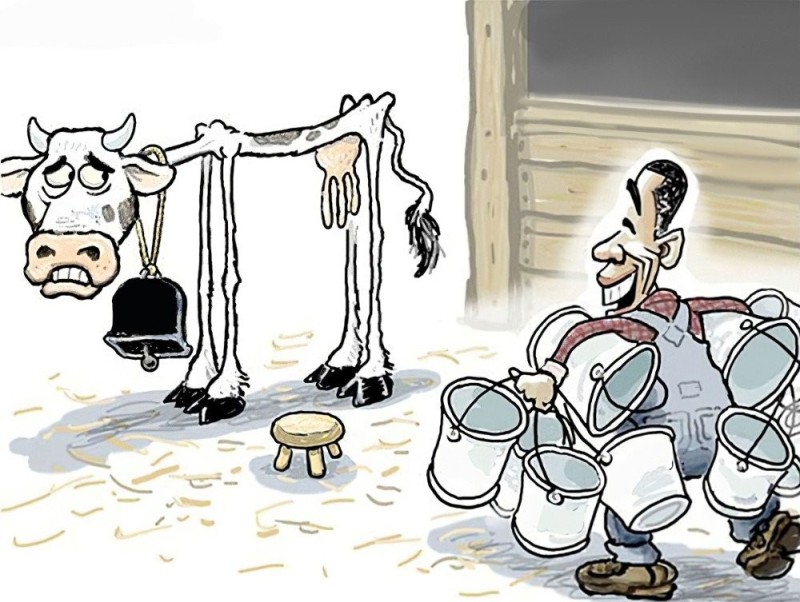 Create meme: A skinny cow caricature, cow cartoon, milking a cow