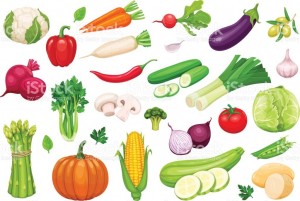 Create meme: vegetables, vegetables, vector