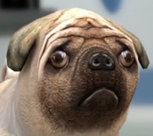 Create meme: pug, pug steam avatar, dog