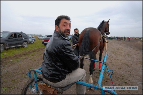 Create meme: Gypsy Igor, Baron of the Gypsies, Gypsies 