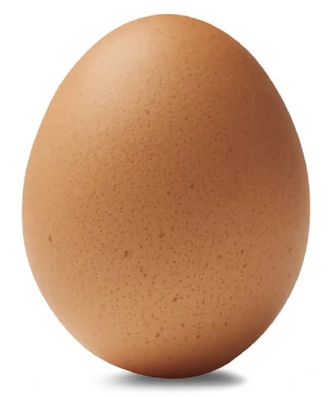 Create meme: egg , chicken egg, chicken eggs on a white background