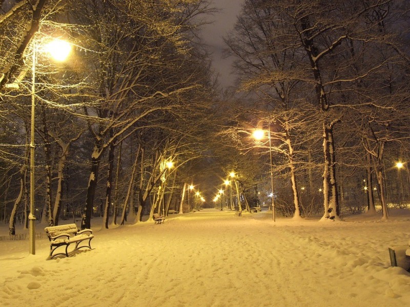 Create meme: winter park at night, night winter park, winter Park