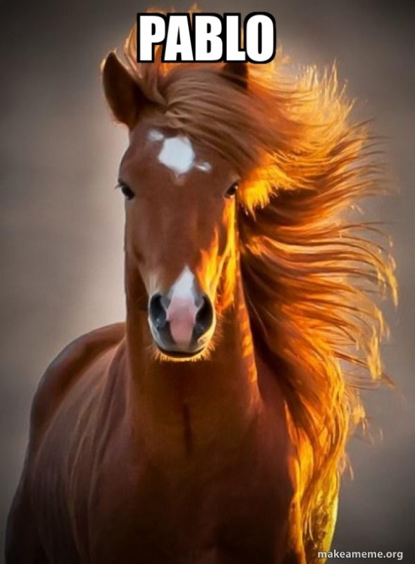 Create meme: red horses, red horse, horse's mane