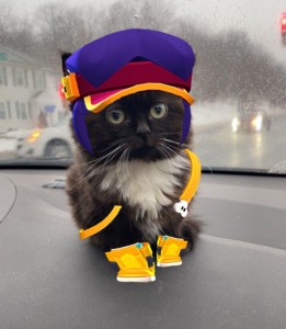 Создать мем: полицейский кот, смешные котики, одежда для котов