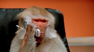 Create meme: animals funny, fun with monkeys, monkey