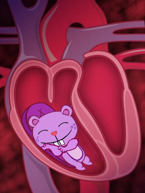 Create meme: heart organ, heart defects, the human heart