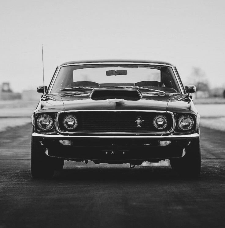 Create meme: 1969 ford mustang, Ford Mustang 1969, ford mustang boss 429 1969