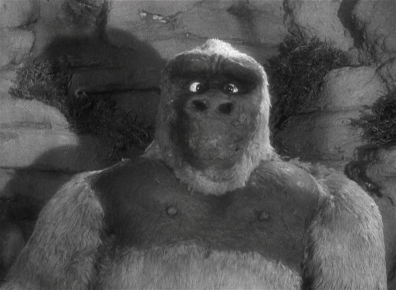 Create meme: king Kong , king kong son of kong, King Kong 1933 son of Kong