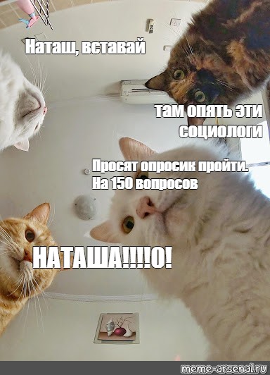 Вставай там