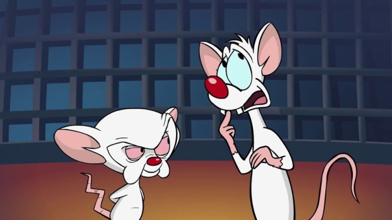 Create meme: mouse pinky and brain, brain kicks, Pinkie and Brain animated series 1995 1998