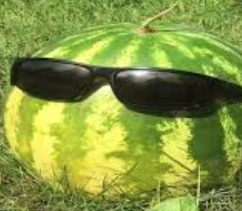 Create meme: watermelon , green watermelon, DJ watermelon