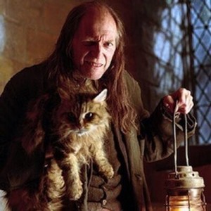 Create meme: Mrs. Filch, Filch Harry, David Bradley Filch