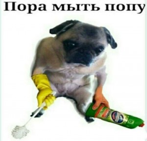 Create meme: pug, it is time to wash the ass