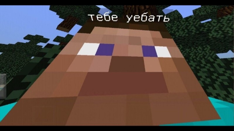 Create meme: minecraft friends, minecraft , fun in minecraft