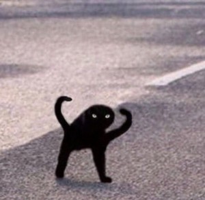 Create meme: the open hatch on the road, meme the black cat, cat
