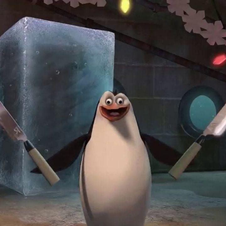 Create meme: Run away I'm a finished penguin from Madagascar, Rico the penguins of Madagascar, A penguin from Madagascar