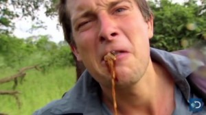 Create meme: man vs wild, to survive at any cost, bear Grylls