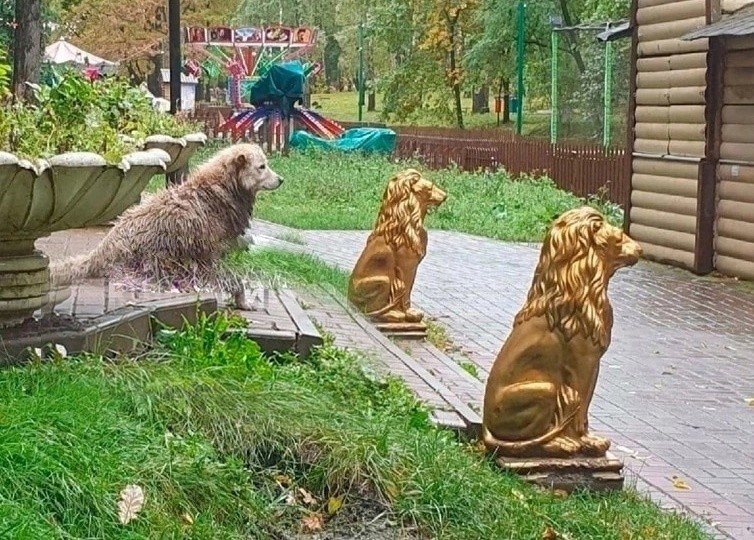 Создать мем: садовая фигура лев, парковая скульптура, лев статуя