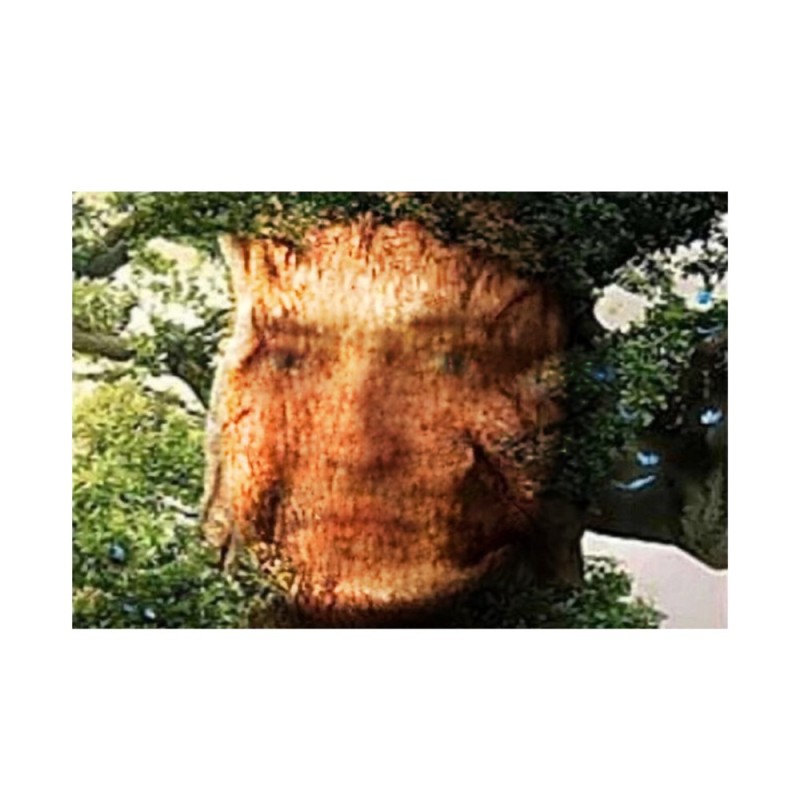 Create meme: tree meme oak with a face, living tree, memes with oak