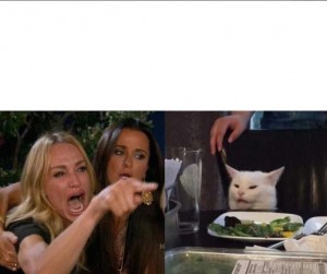 Create meme: meme with a cat and two women, the meme with the cat at the table, the meme with the cat and the girls