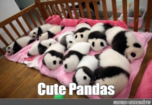 Create Meme It S Just A Little Sleeping Panda It S Just A Little Sleeping Panda Baby Panda Giant Panda Pictures Meme Arsenal Com