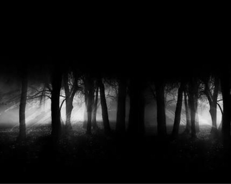 Create meme: gloomy background for photoshop, dark forest, scary forest