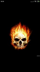 Create meme: skull on fire