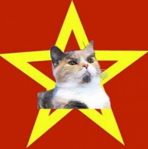 Create meme: funny memes, katze, business cat