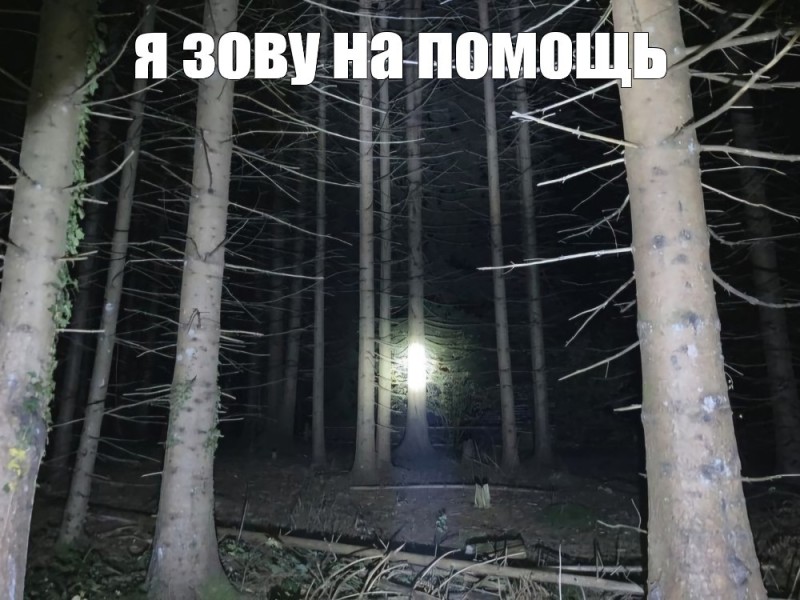 Create meme: mystical forest, darkness, dark forest