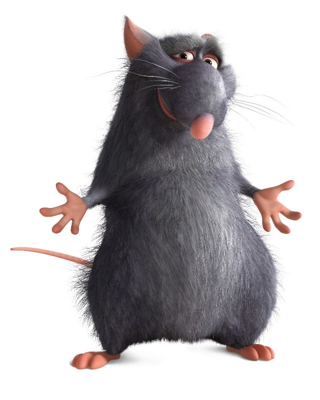 Create meme: rat from the cartoon ratatouille, ratatouille opa, Ratatouille rats