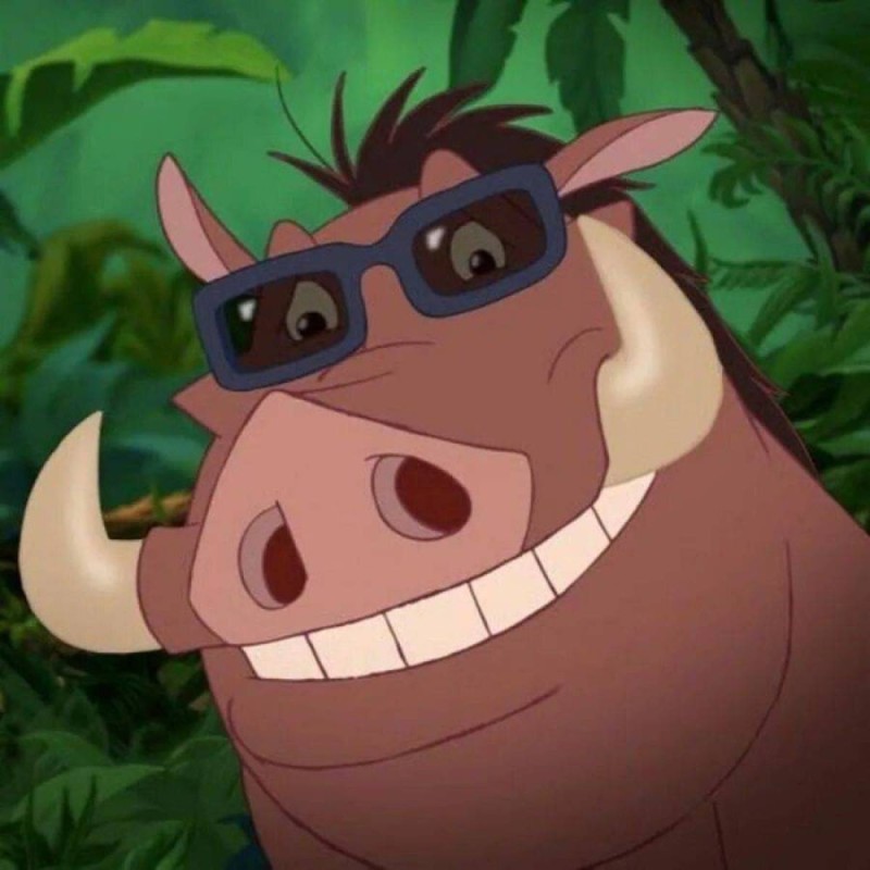 Create meme: Pumbaa the lion king, Pumbaa Timon, Pumbaa from the Lion King