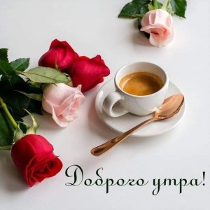 Создать мем: доброе утро отличного, доброго утра доброго дня цветы, с добрым утром отличного настроения