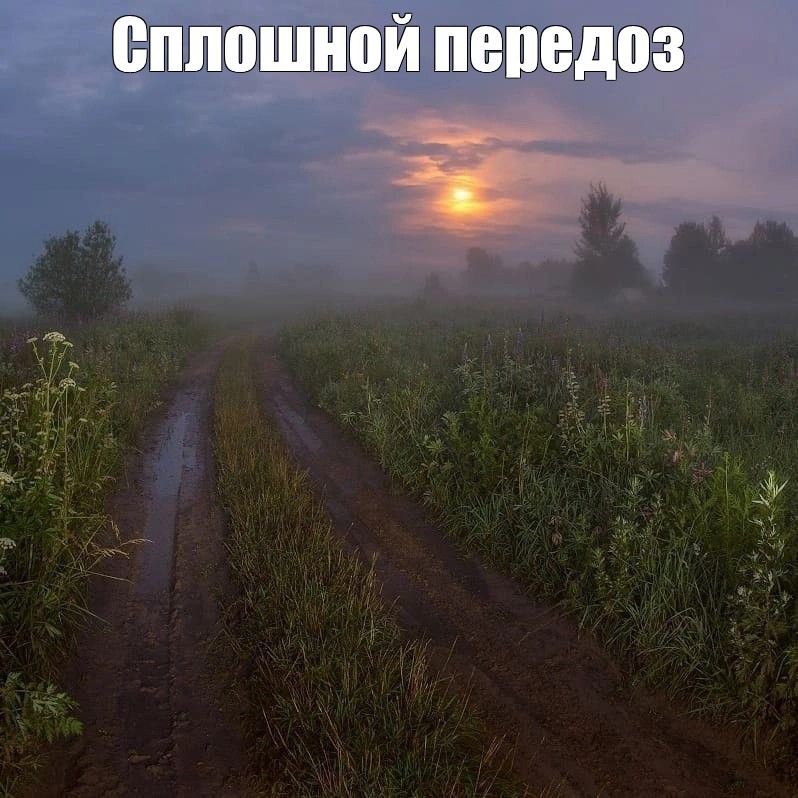 Create meme: nature beauty, road fog , night fog