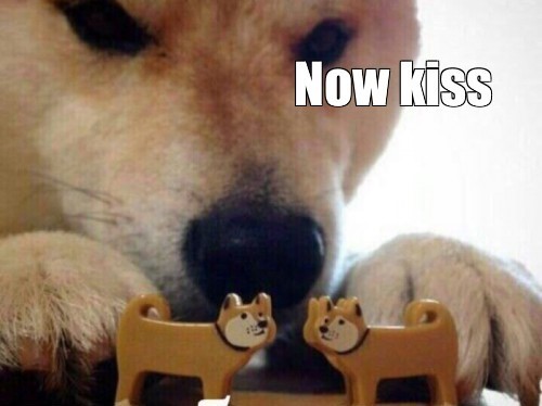 Create meme: Shiba inu meme, meme bites, memes with dogs