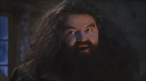 Create meme: Hagrid from Harry, Hagrid meme, Harry Potter Hagrid