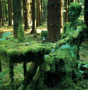 Create meme: enchanted forest, pictures about forest, magic space moss