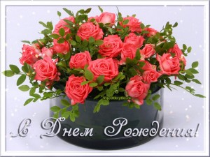 Create meme: rose Bush, flowers, roses