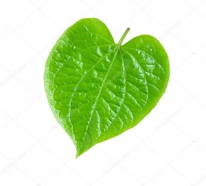 Create meme: heart with leaves, leaf heart-shaped, leaf heart-shaped pattern