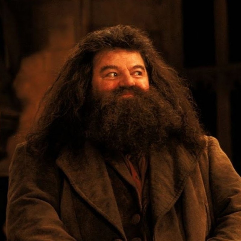 Create meme: hagrid the actor, Hagrid from Harry, Hagrid from Harry Potter