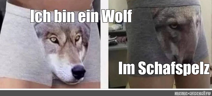 Create meme briefs with a wolf waiting, briefs by wolf meme, underwear wolf  - Pictures 