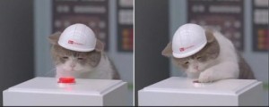 Создать мем: кот в каске мем, котик нажимает на кнопку, грустный кот в каске
